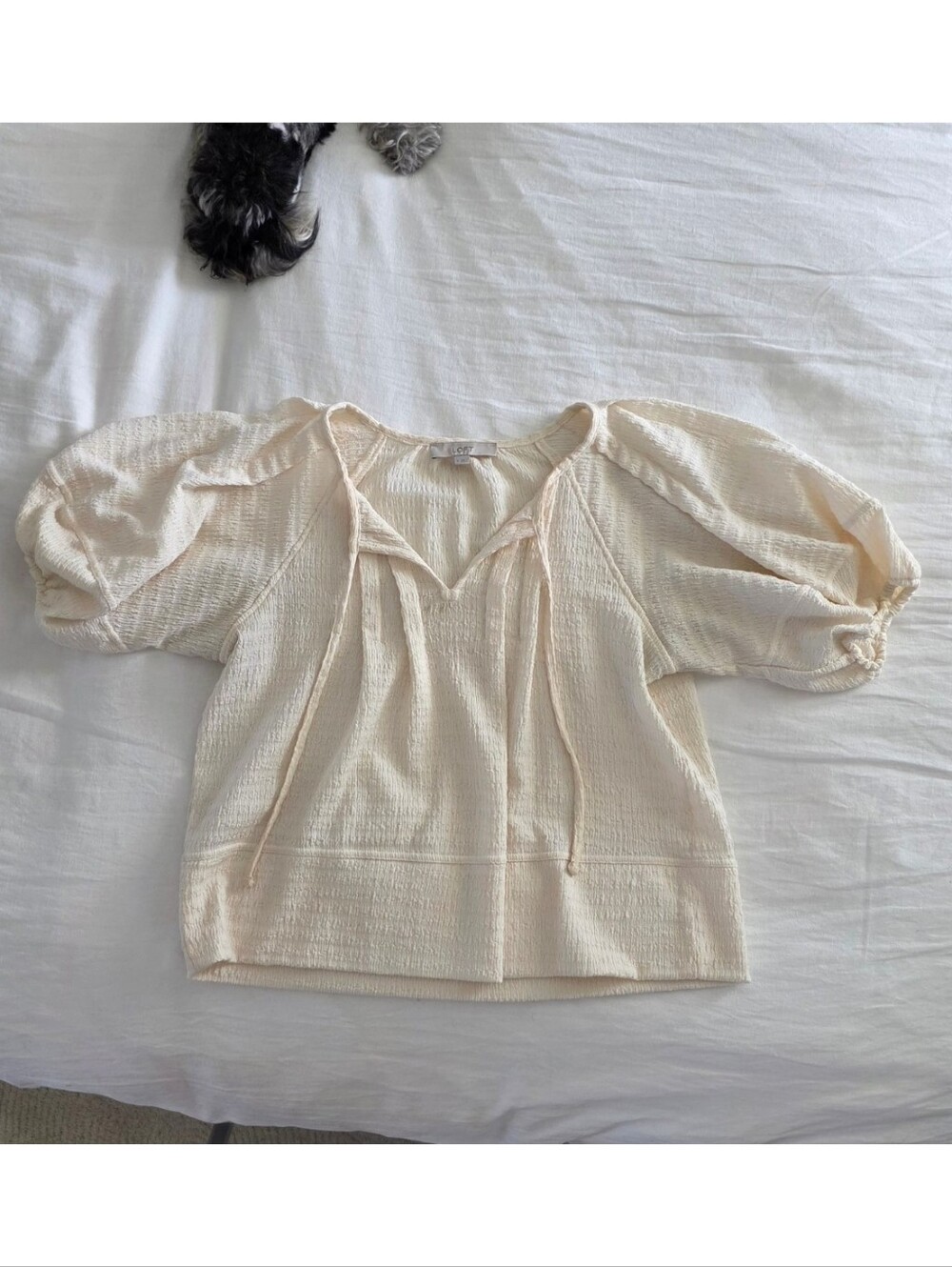 LOFT Cream Textured Puff Sleeve Tie Neck Blouse Boho Peasant Top S